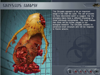 Chrysalis%20Autopsy